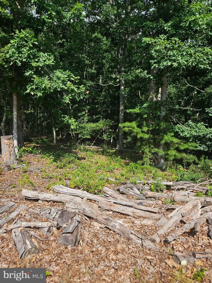 Property Photo:  Lot 2 Blackberry Meadows No Physical Address  WV 25434 