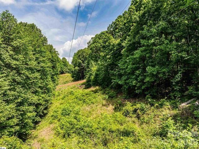 Property Photo: 67 Wildflower Lane SC 29690