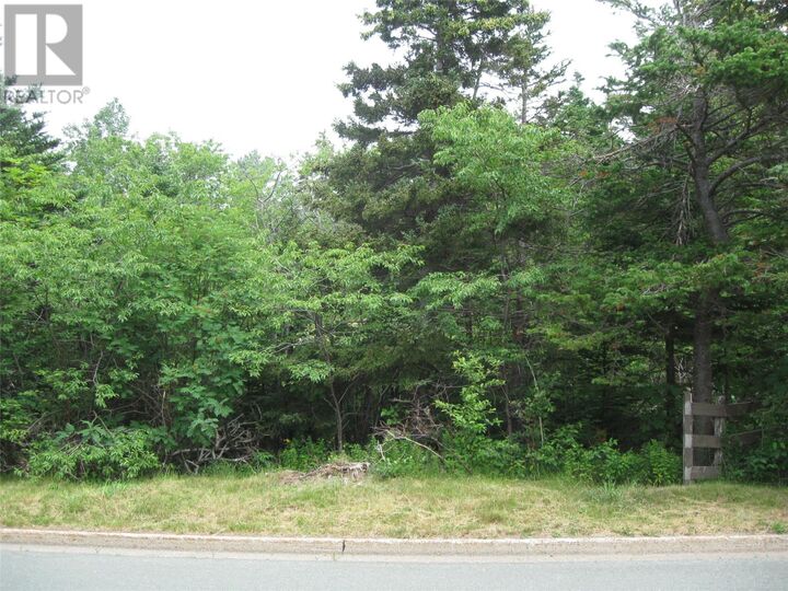 Property Photo:  53 A Lawrence Pond Road East  NL A1X 4C6 
