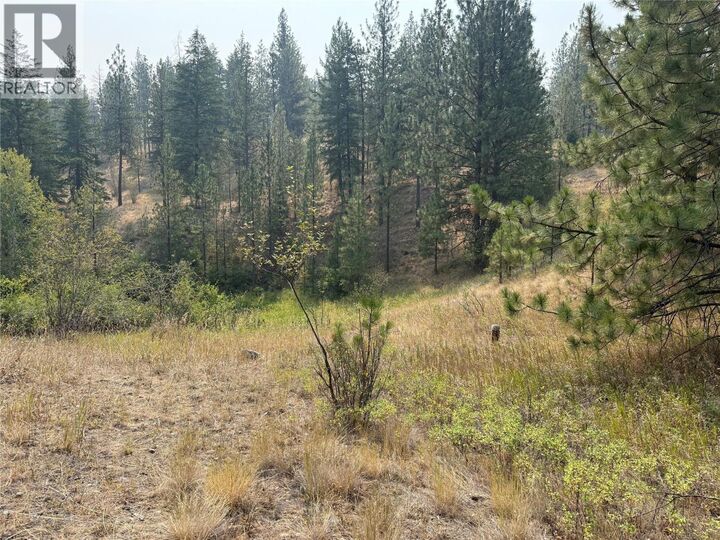 Property Photo: Fairview White Lake Road BC V0H 1T5