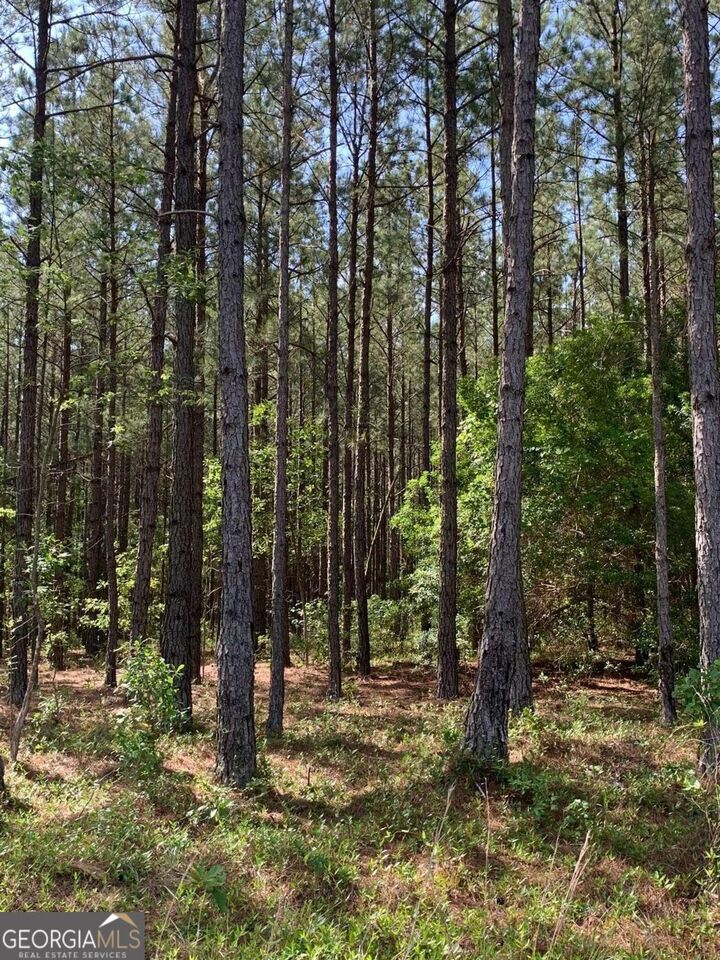 Property Photo: 0 Pollett Road Lot 29 GA 30413