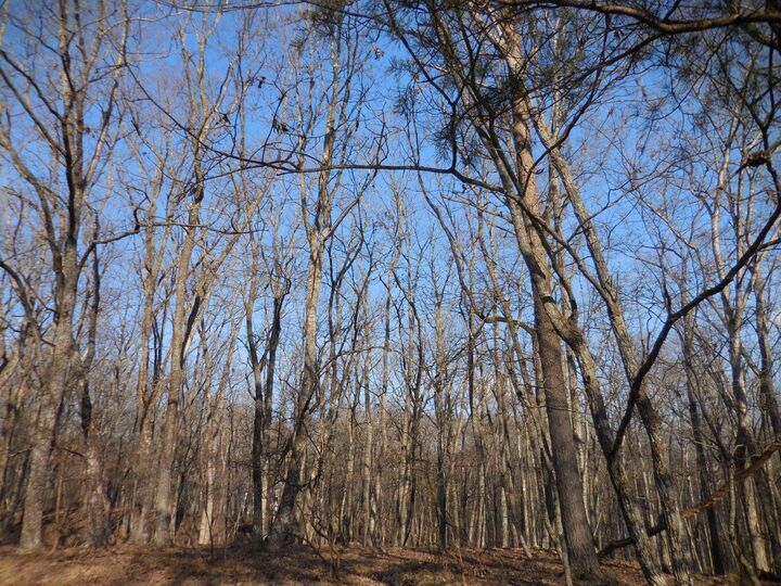 Property Photo: 133 Greenbrier Loop TN 38558