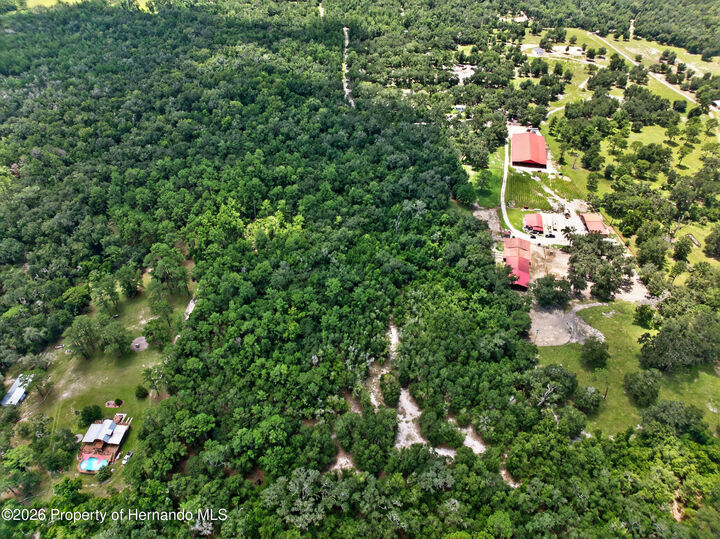 Property Photo: 0 Old Hunter Road FL 34601