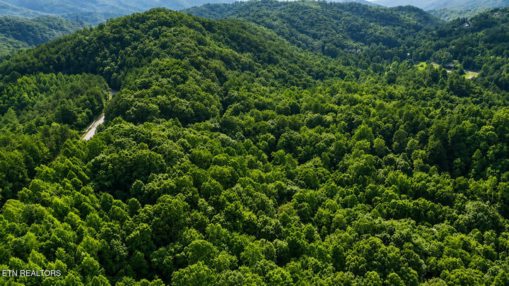 Property Photo: S Clear Fork Rd TN 37862