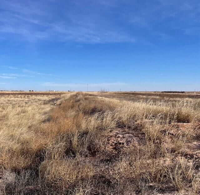 Property Photo: 10 Lovebird Road TX 79367