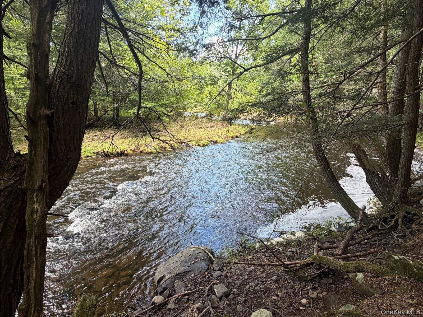 Property Photo:  0 Laurie Lane  NY 12413 