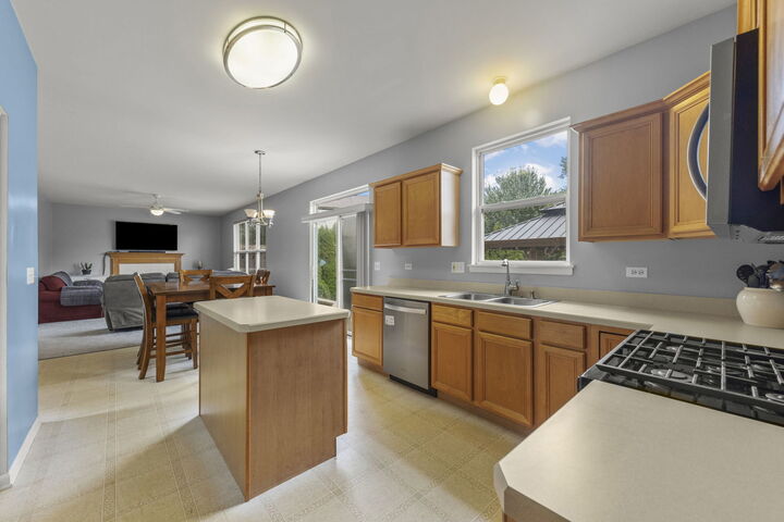 Property Photo:  253 Carlton Mews Court  IL 60554 