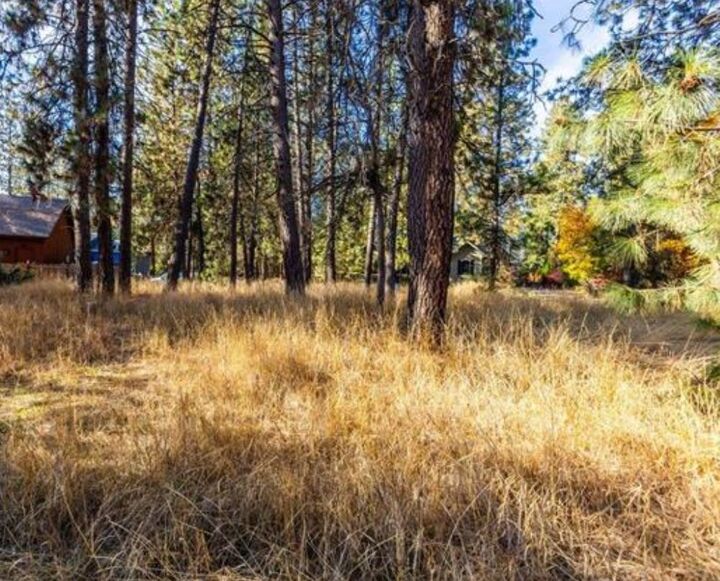 Property Photo: Xxxx S Madelia St WA 99223