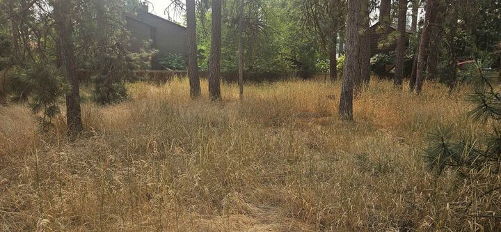 Property Photo:  Xxxx S Madelia St  WA 99223 