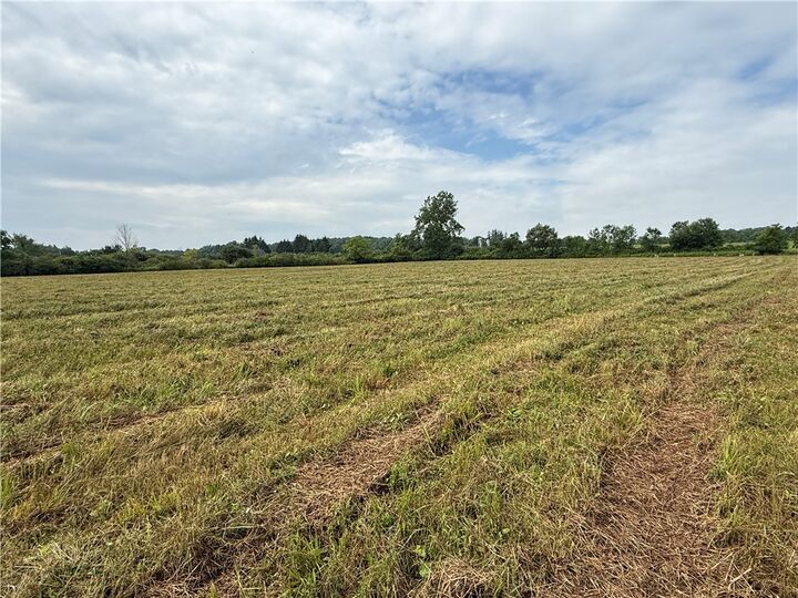Property Photo:  Halseyville Road  NY 14886 