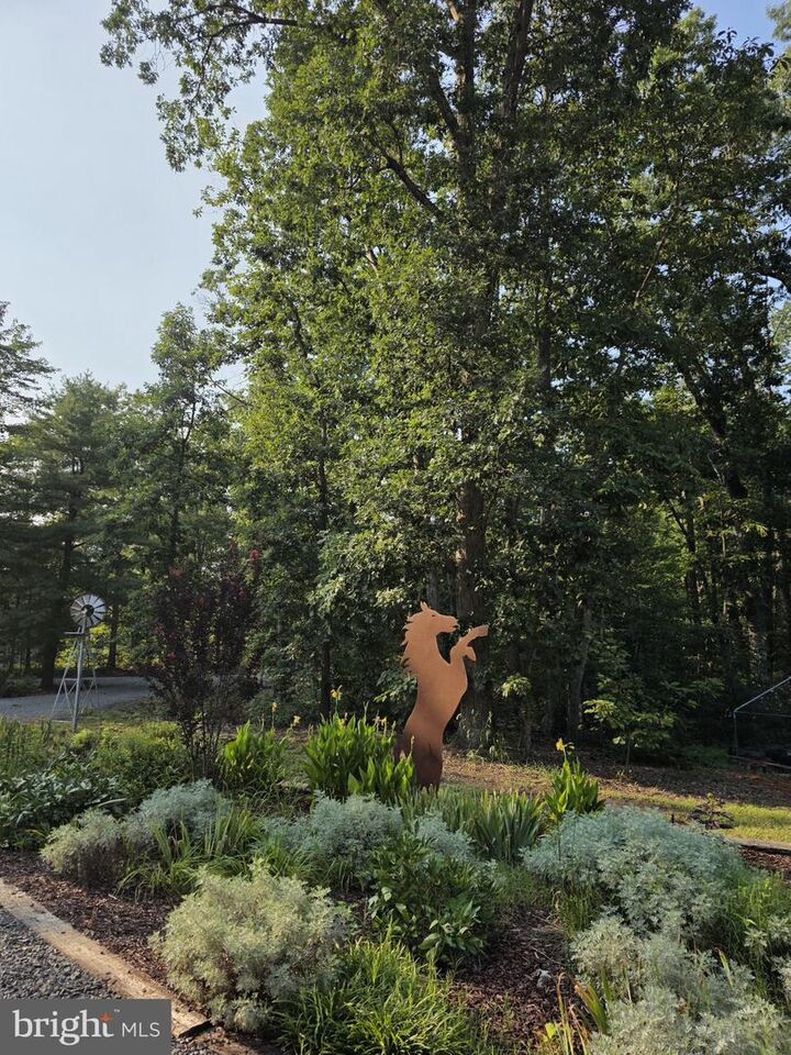 Property Photo: 5099 Courtneys Corner Road VA 22742