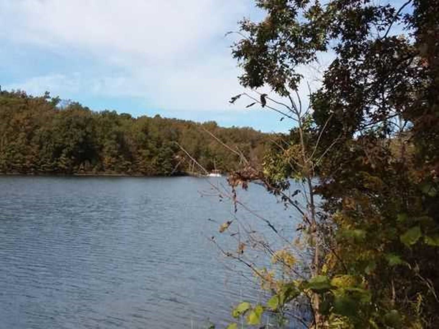 Property Photo: Xx Hualapi Drive AR 72529