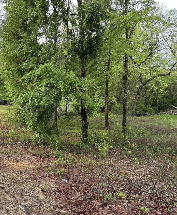 Property Photo: 7515 Goodall Mill Road GA 31216