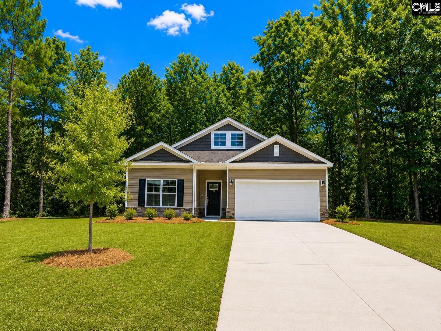 Property Photo:  161 Raglins  SC 29078 