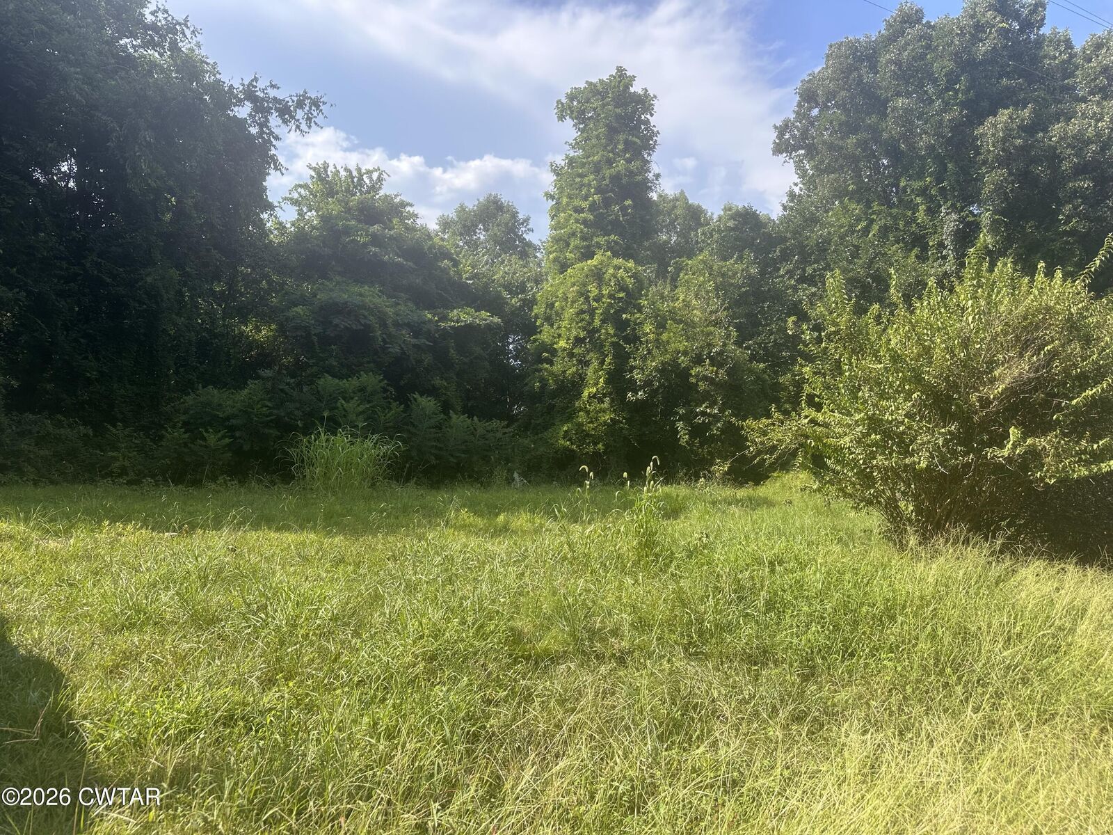 Property Photo: 597 Bear Creek Road TN 38366
