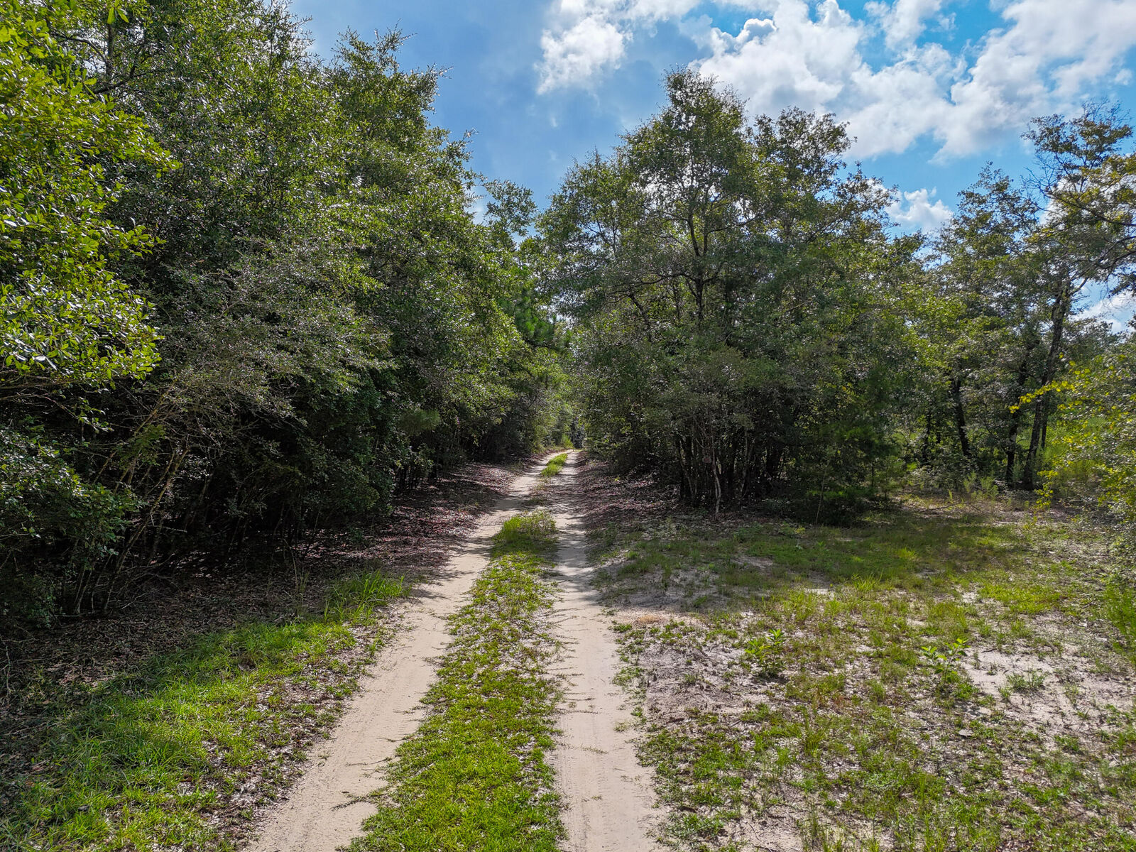 Property Photo: 40 Acres Mossy Bend Road FL 32455