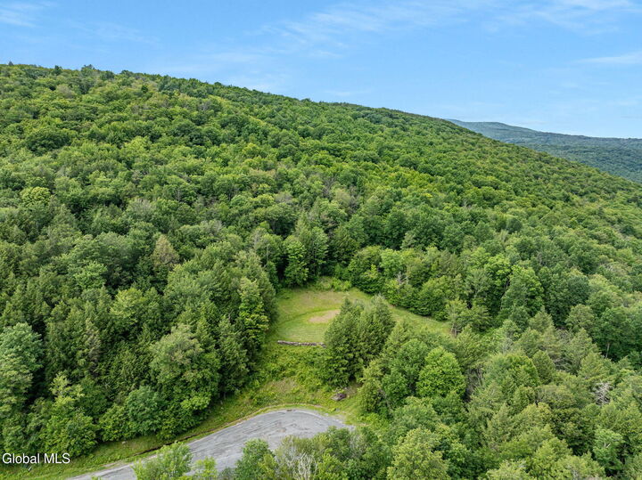 Property Photo: L28.2 Deer Lane NY 12452