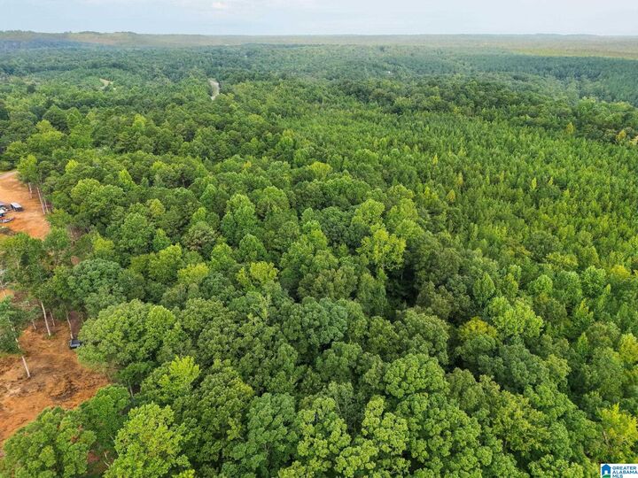 Property Photo: 658 County Road 249 1 AL 35046