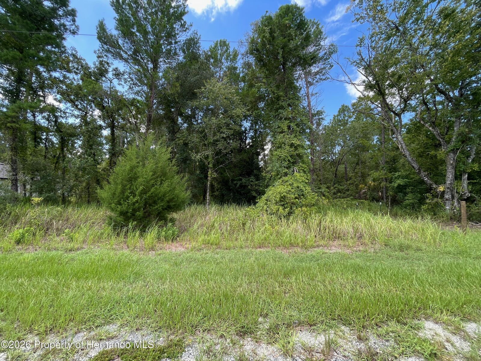 Property Photo: 0 Thrasher Avenue FL 34614