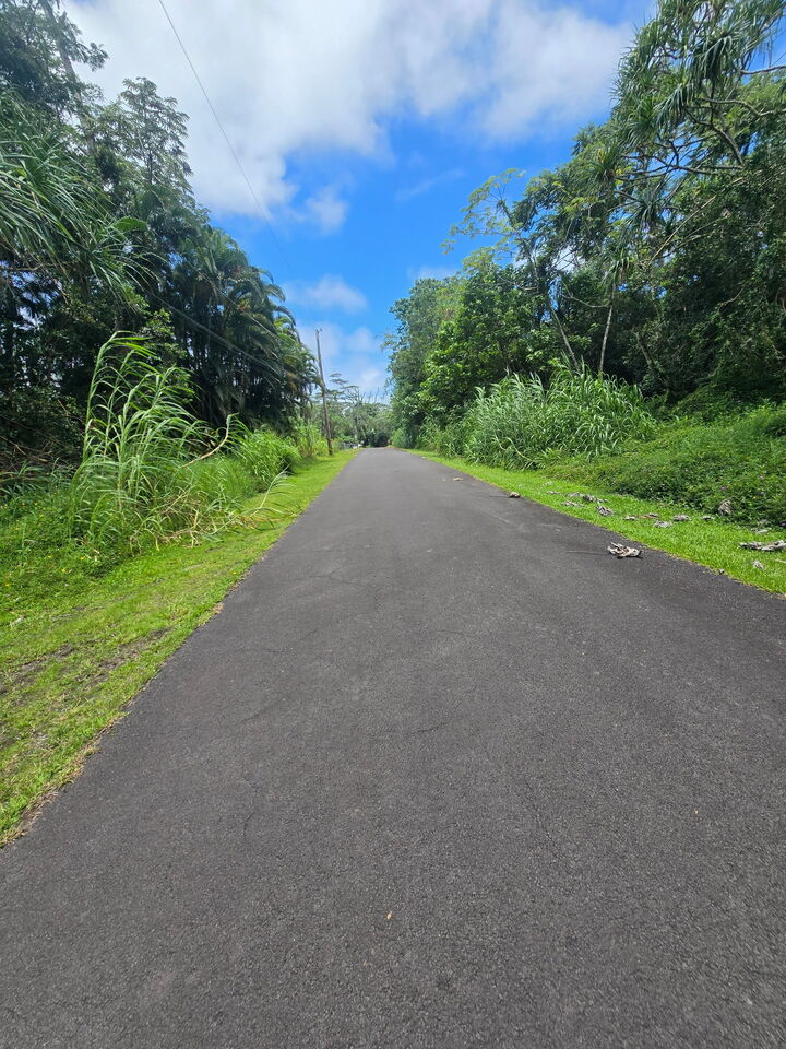 Property Photo: Nenue St HI 96778