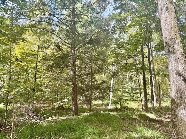 Property Photo: 5 Trails NY 12729