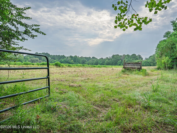 Property Photo: Spring Street MS 39168