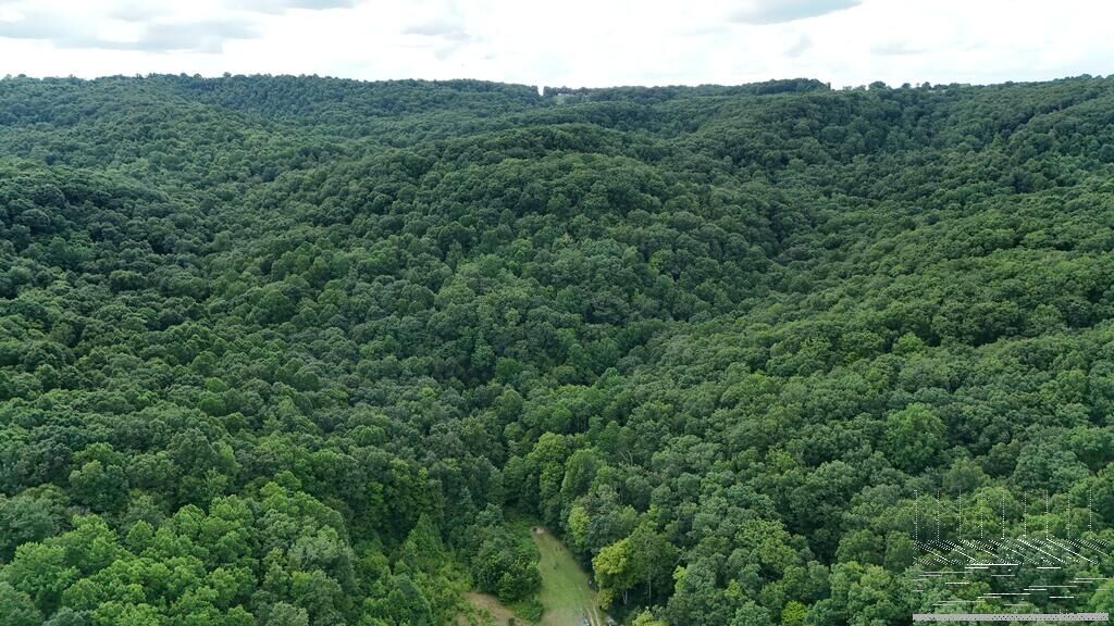 Property Photo:  900 Hayes Valley Rd.  WV 24739 