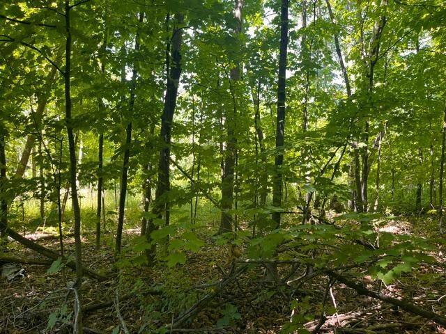 Property Photo: Lot 3 60th Avenue WI 54028