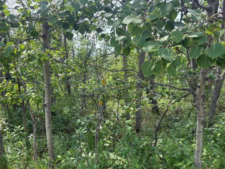 22113 Twp Rd 440 324 — photo 1