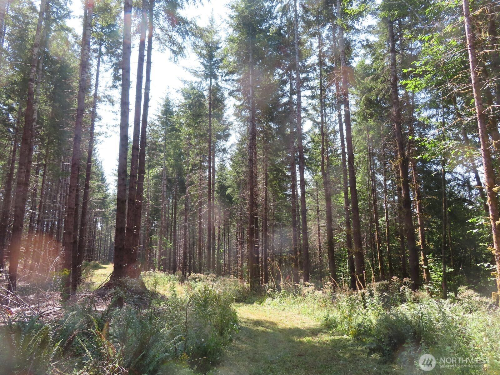 Property Photo:  0 Xxx  Chandler Road  WA 98572 
