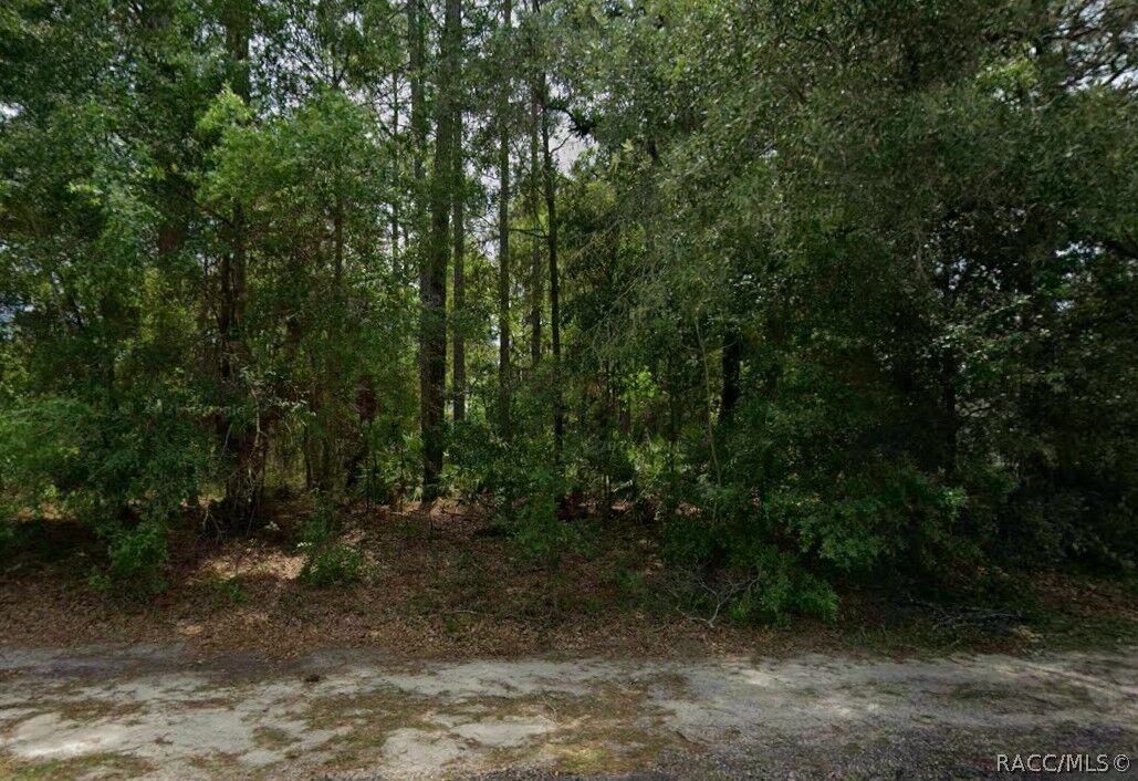 Property Photo: 660 W Anderson Lane FL 34434