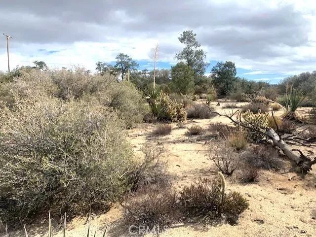Property Photo:  368 Palm Canyon  CA 92561 