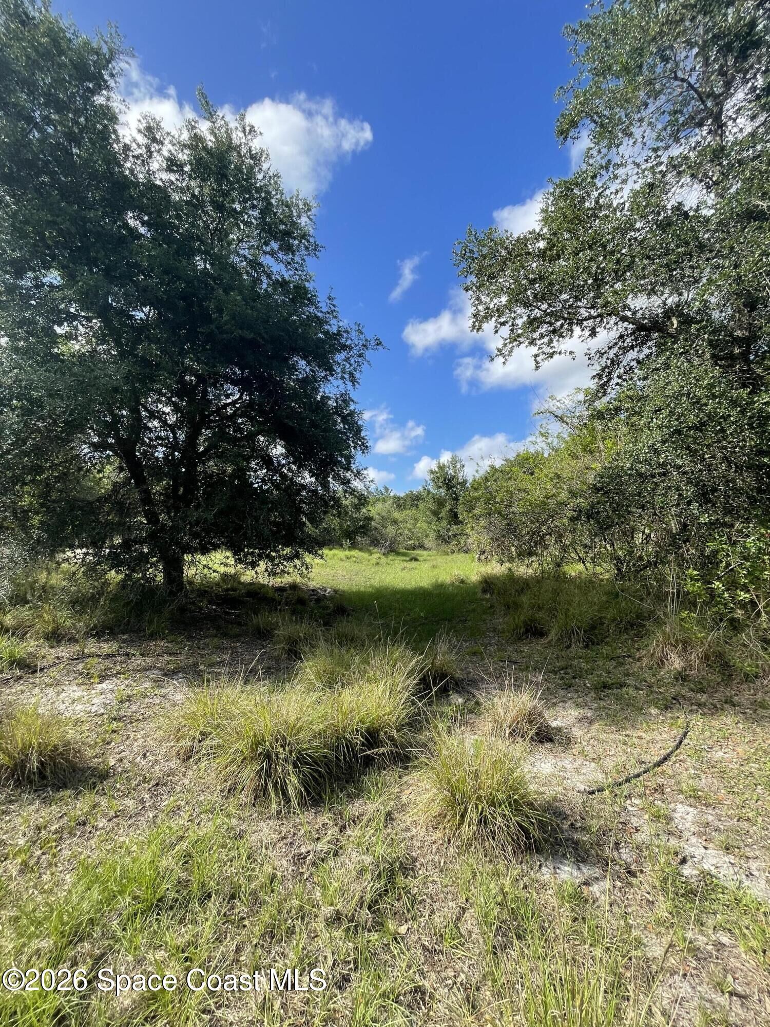 Property Photo: 000 Willowbrook Drive SE FL 32909
