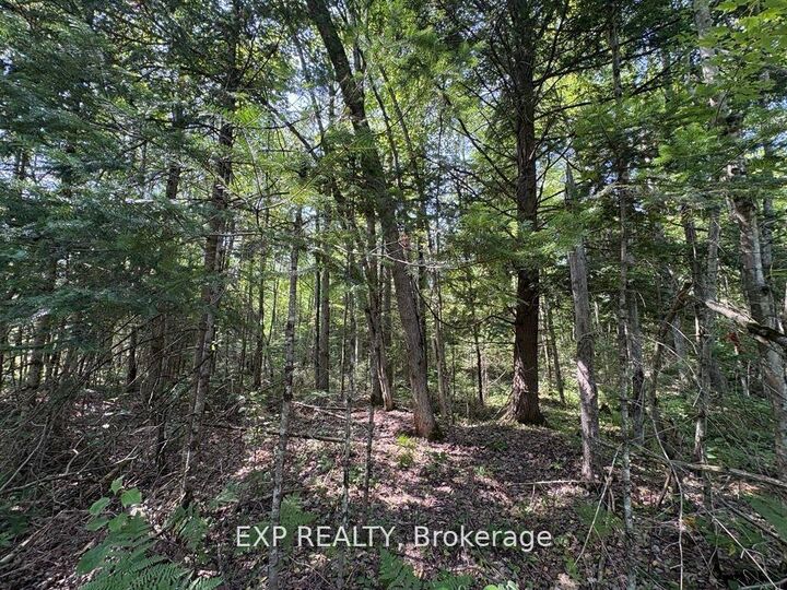 Property Photo: 1 Lot 1 Concession 2 Part 4 Boundary Concession ON K0B 1L0