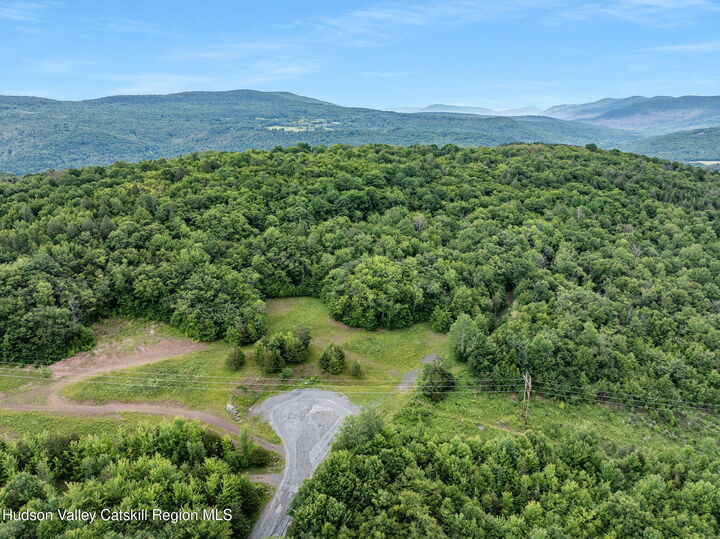Property Photo:  L39 Overlook  NY 12452 