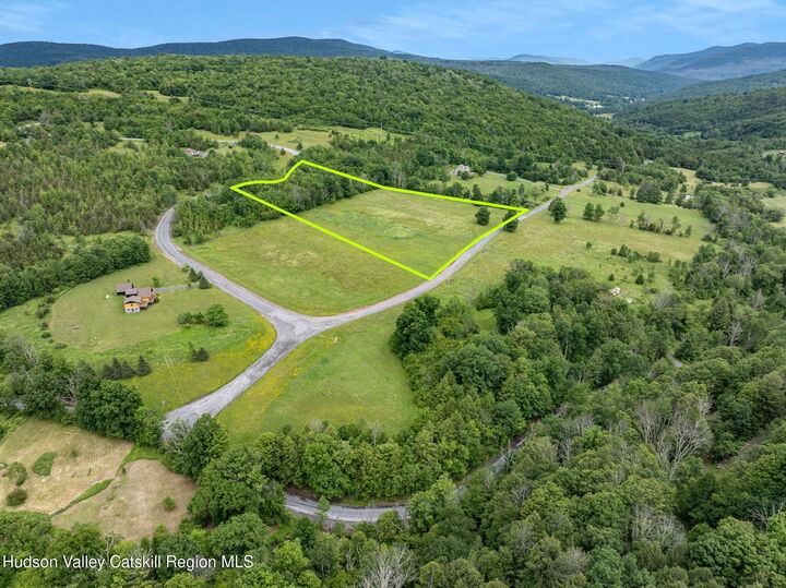 Property Photo: L26 Deer NY 12452