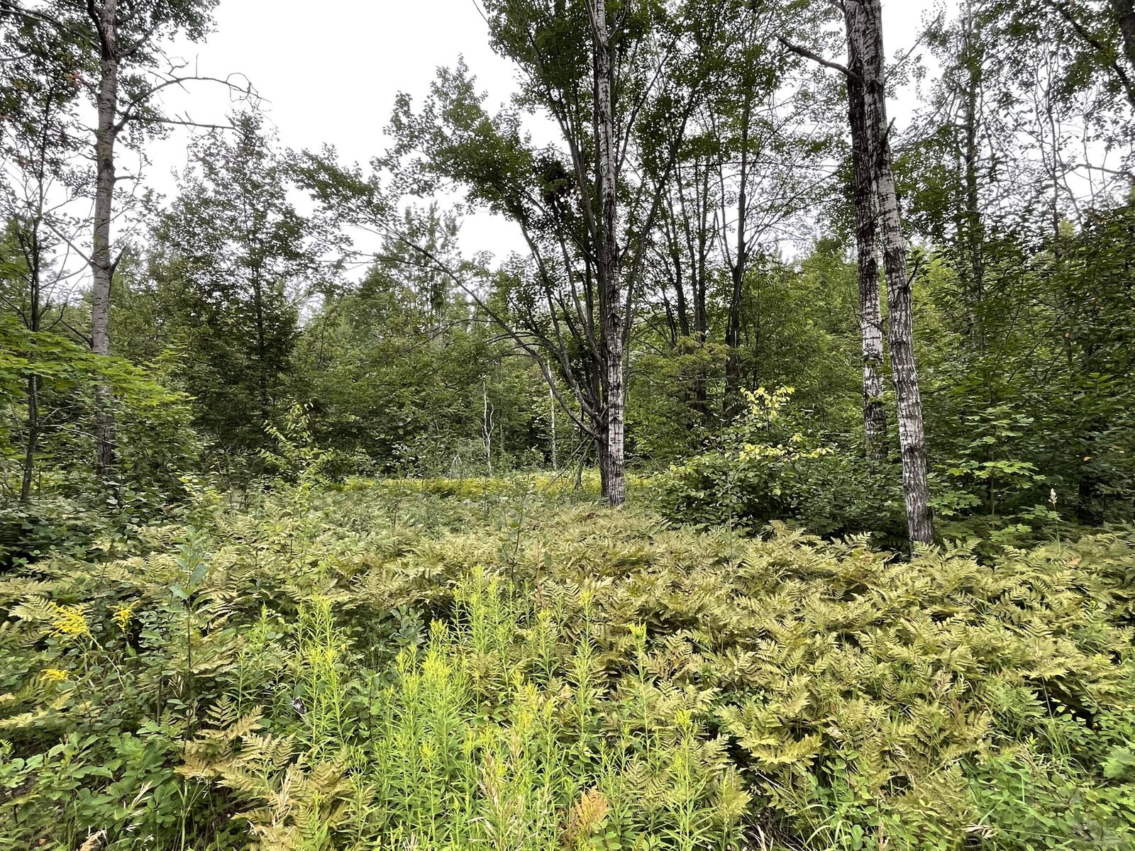 Property Photo:  Lot 95 &Amp96 Snowridge Drive  MI 49730 