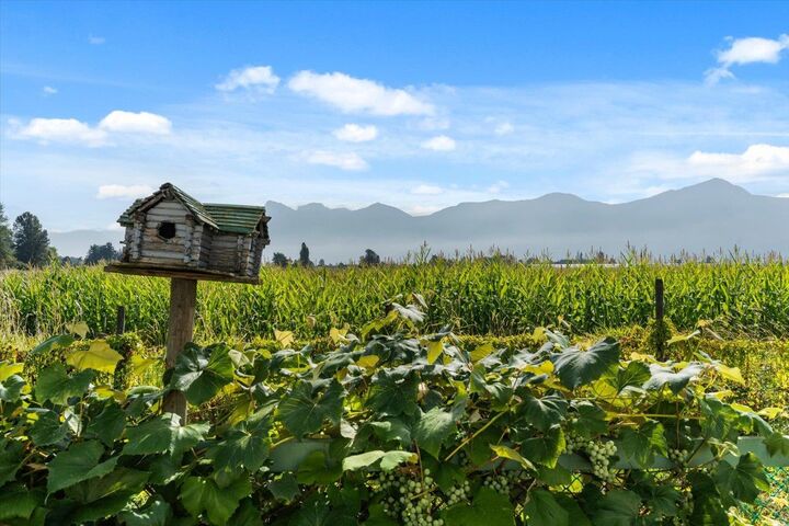 Photo de la propriété:  46702 Arbutus Avenue  BC V2P 6P4 