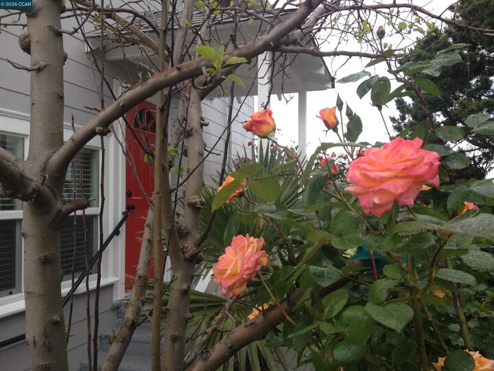 Property Photo: 724 Edwards CA 94525