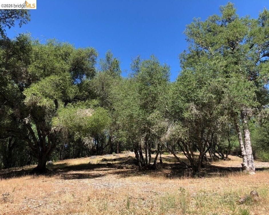 Property Photo: 21930 Lyons Bald Mountain CA 95370
