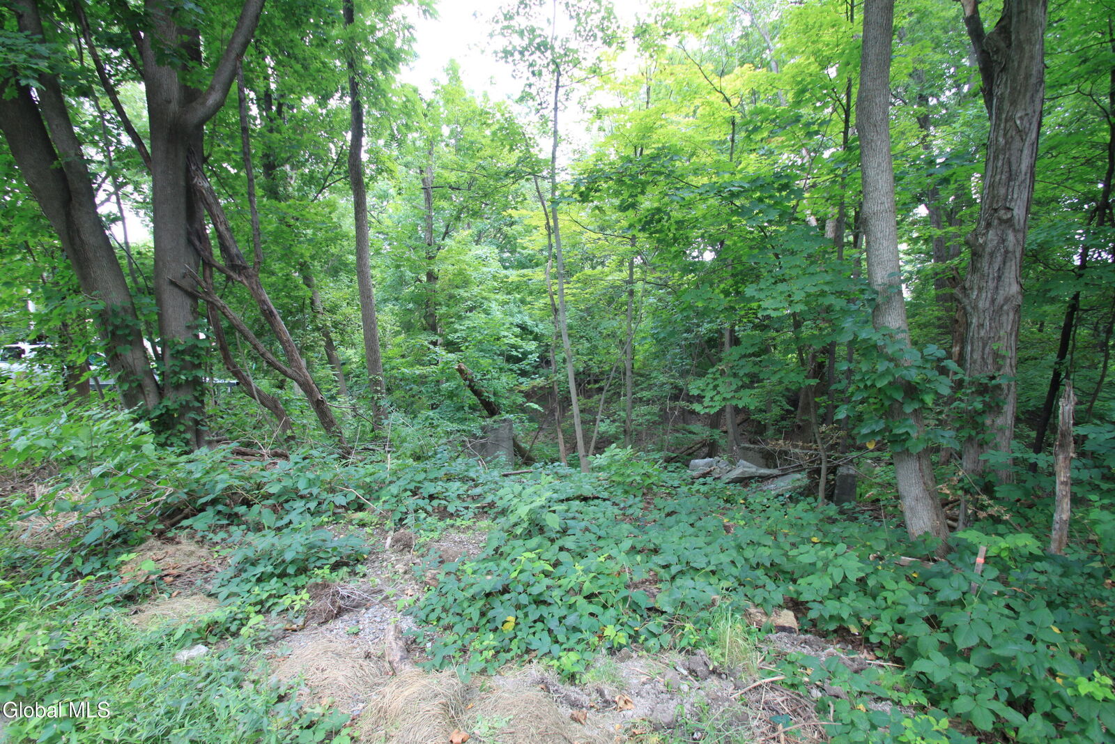 Property Photo: 31-33 Spring Street NY 12534