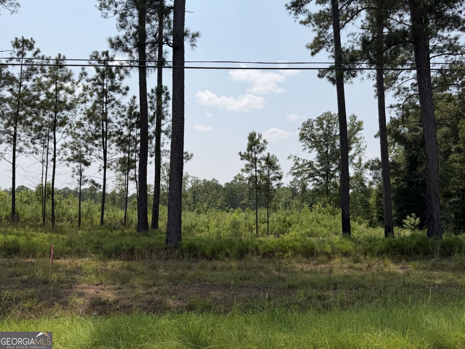 Property Photo: 710 Giles Road GA 31029