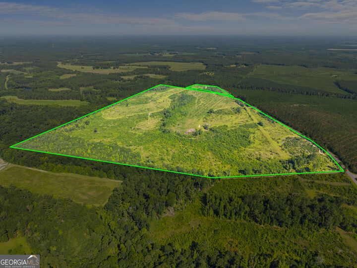 Property Photo:  3605 Perkins Hiltonia Road  GA 30442 