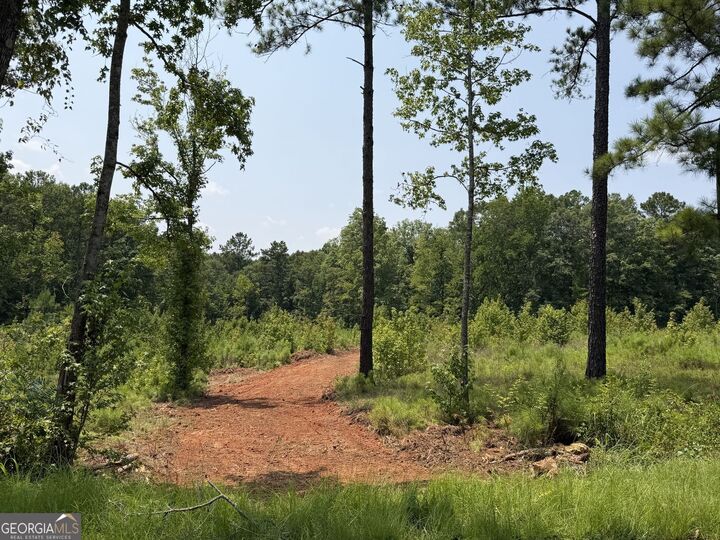 Property Photo: 722 Giles Road GA 31029
