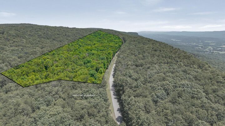 Property Photo: 59.73ac Windridge Drive TN 37327