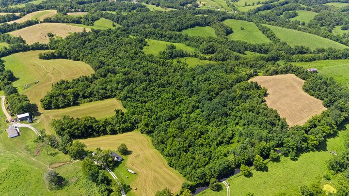 Property Photo:  223B Plum Lick Road  KY 40361 