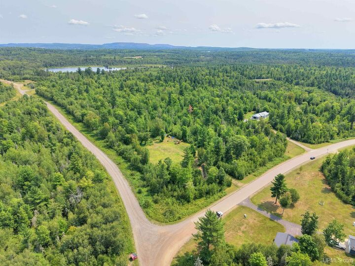 Property Photo:  2360 Goldmine Creek Drive  MI 49849 