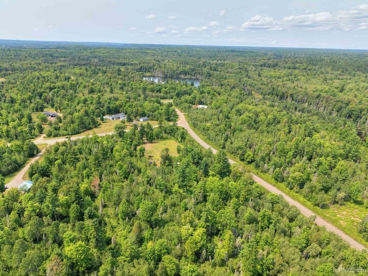 Property Photo:  Tbd N Greenwood Lake Drive  MI 49849 