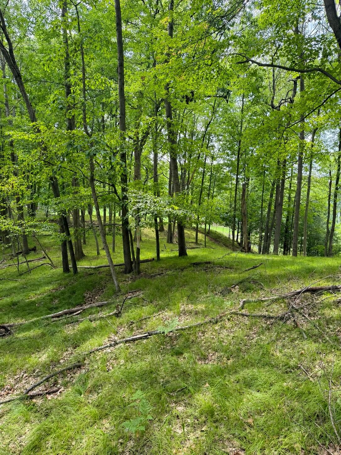Property Photo: 9711 Saint Ives Drive MI 49346