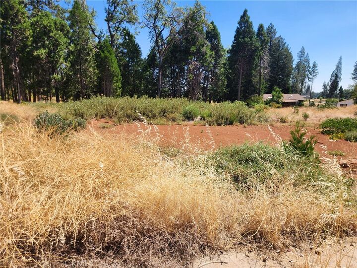 Property Photo: 13744 W Park CA 95954